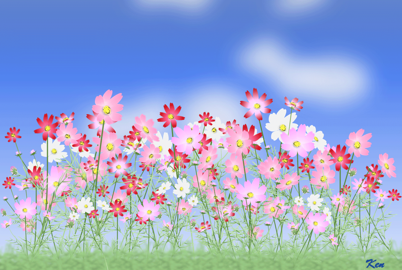 Word作品_コスモス